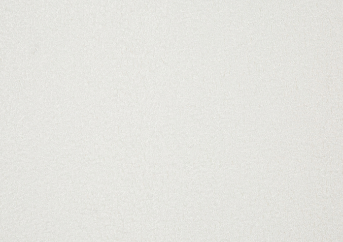 Fergus, Snow - Fabric Only - Image 3